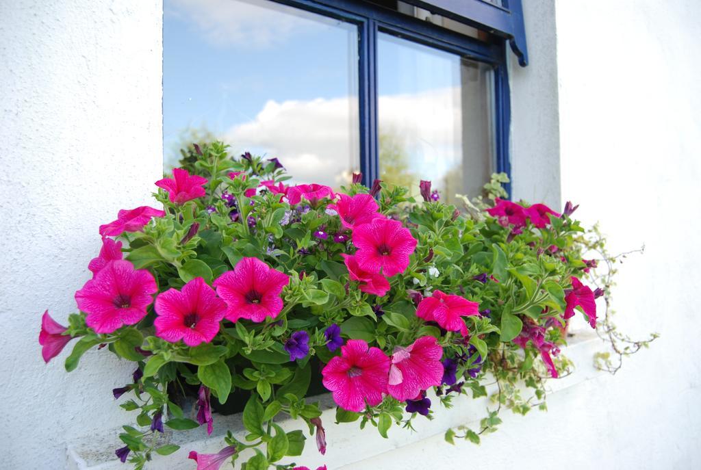Old Killarney Cottages Exterior photo